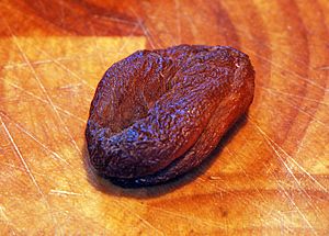 Dried apricot 01 Pengo