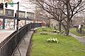 Eliot Burying Ground 2
