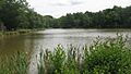 Eridge Park Lake - geograph.org.uk - 1412026