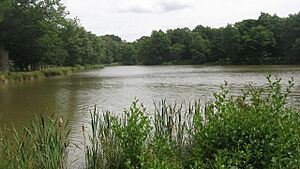 Eridge Park Lake - geograph.org.uk - 1412026