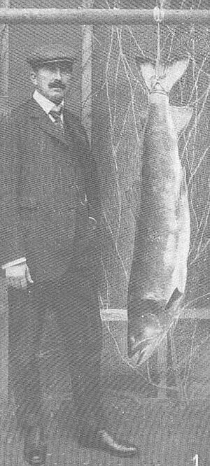 FMIB 49426 Huchen 46 lbs taken in the Inn River, Bavaria, by Ludwig Deiglmayer