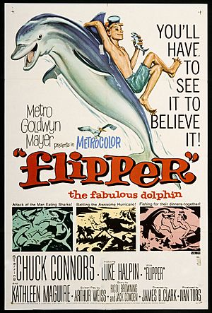 Flipper 1963 movie poster.jpg