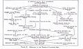 Genealogy of the Robbins & Lawrence Shop