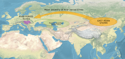 Genomic evidence from Avar period human remains
