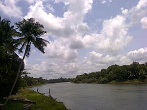 God,s own country,aranmula,kerala - panoramio.jpg