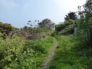 Gunton Warren 1