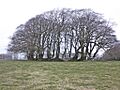 Huish Champflower Barrow (geograph 3891125)