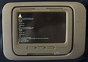 In flight system Linux bootup flat