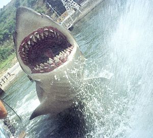 Jaws 2 Facts for Kids