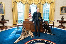 Joe Biden petting Champ and Major in Oval Office, 9 February 2021