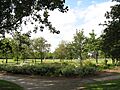 John Whitehead Park - geograph.org.uk - 2448035