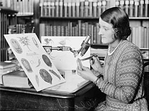Joyce Allan arranging mollusks for the Australian Museum, New South Wales, 9 March 1933, 1