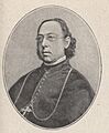 Kardinal Hergenröther3JS