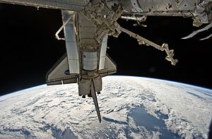 Leonardo Multi-Purpose Logistics Module In Discovery's Payload Bay During STS 131