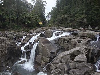 Mangapapa River 70.JPG