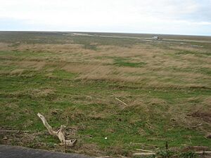 Marshside Sands, Southport - geograph.org.uk - 313452