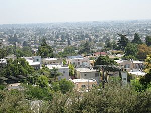 View of East Oakland from Maxwell Park