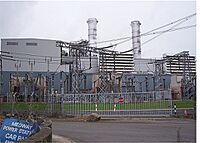 Medway Power Station, Isle of Grain - geograph.org.uk - 648321.jpg