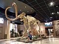 Mesa-Museum of Natural History-Mastodon with Nina and John
