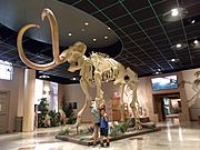 Mesa-Museum of Natural History-Mastodon with Nina and John