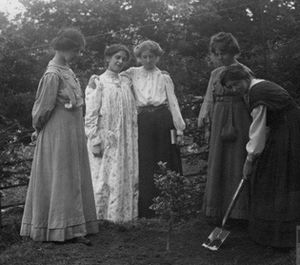 Millicent Browne planting tree with Mary Phillips, Vera Wentworth, Elsie Howey and Annie