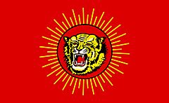 Naam tamilar katchi flag.jpg