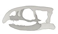 Nectosaurus