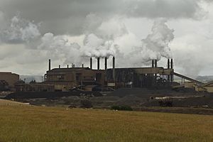 New Zealand Steel Iron making plant