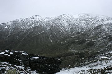 Pico Collado del Condor (3845727841).jpg