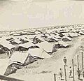 PikiWiki Israel 7792 Cyprus deportation camps