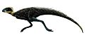 Pisanosaurus