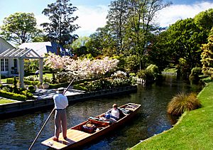 Punting at Mona Vale, a prominent park and former homestead in Fendalton.