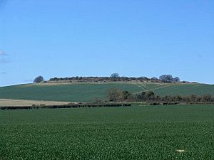 Quarley Hill - Iron Age Fort - geograph.org.uk - 148433.jpg