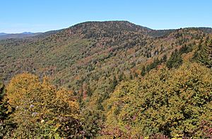 Reinhart Knob from Caney Fork Overlook, Oct 2016 (cropped)