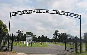 Revised photo of entrance to Springville Cemetery IMG 6652