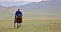 Rider in Mongolia, 2012