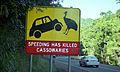 Road sign -Cairns, Queensland, Australia-26Oct2007