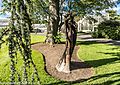 Sculpture- Botanic Gardens In Glasnevin (Dublin) (7951830354).jpg