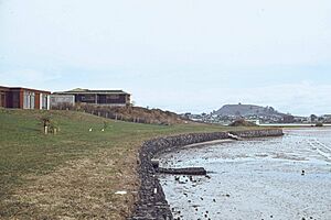 Sea wall, Farm Cove, Pakuranga, 1973 (cropped)