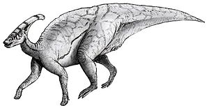 Sketch parasaurolophus