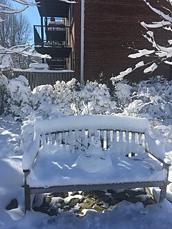 Snowman on bench Fairlington in Arlington VA Jan 2022