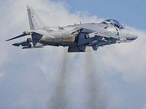 Spanish EAV-8B Harrier II+ "Cobra" (27448607244) (cropped).jpg