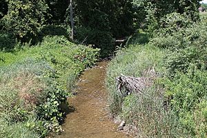 Spruce Run