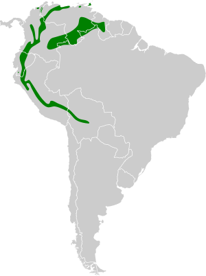 Steatornis caripensis map.svg