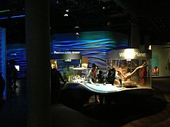 Steinhart Aquarium 5 2013-03-27