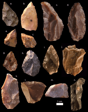 Stone tools from Jebel Irhoud