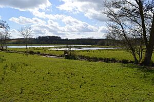 Temple Island Meadows 12