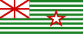 Texas (Proposed Flag)