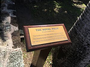 The Royal Palm at Nelson's Dockyard