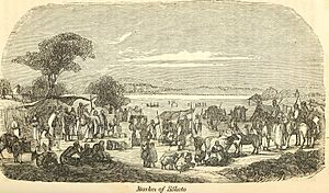Travels and discoveries in North and Central Africa. From the journal of an expedition undertaken under the auspices of H.B.M.'s government, in the years 1849-1855 (1859) (14781116835)